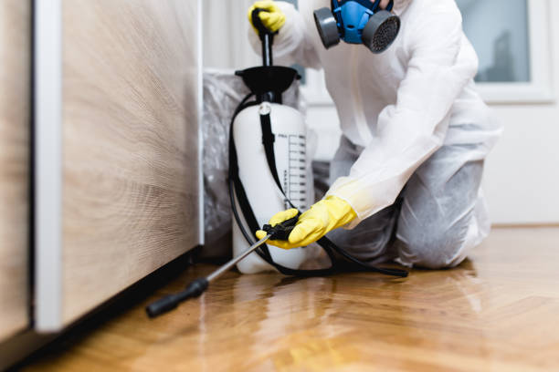 Best Cockroach Control Services  in Horse Pasture, VA