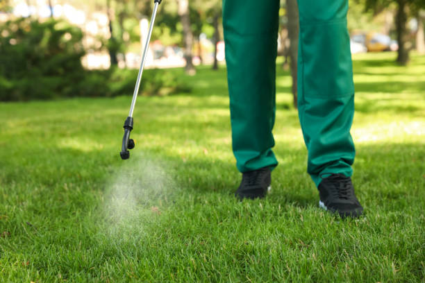 Best Termite Control Services  in Horse Pasture, VA