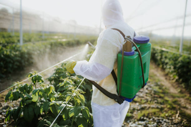 Best Emergency Pest Control  in Horse Pasture, VA